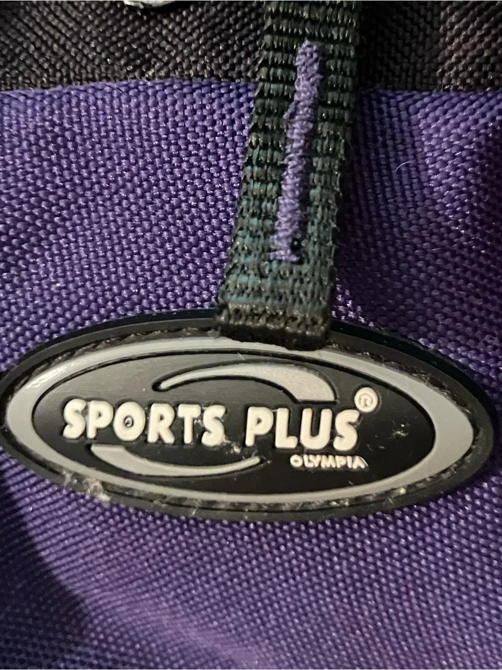 Purple and Gray  Backpack